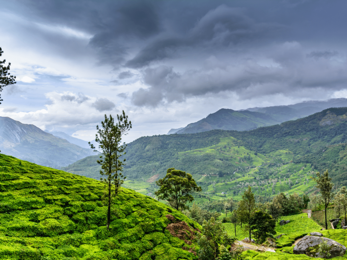 Live Like an Indian Tribe: Authentic 2-Day Cultural Experience in Wayanad, Kerala