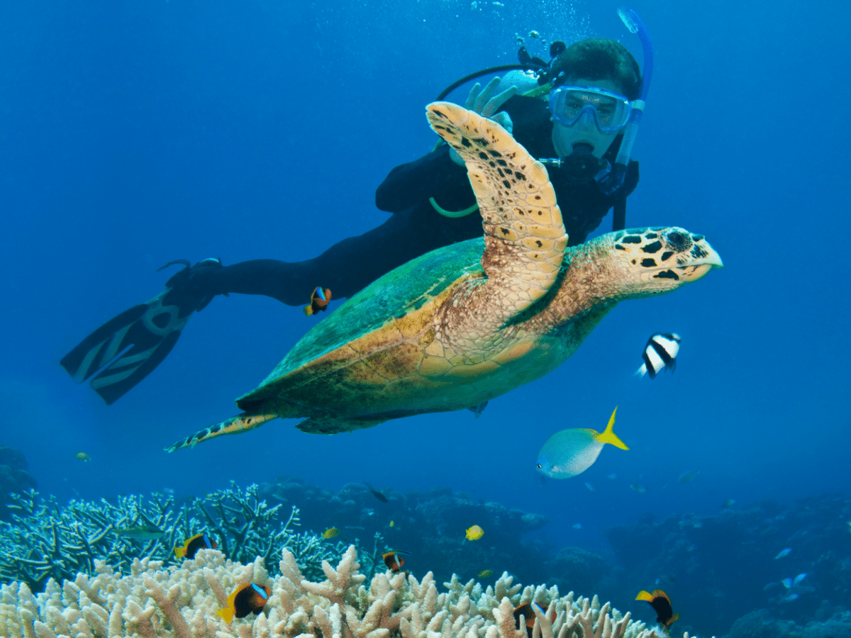 Live Like an Indian Islander: 5-Day Immersion on India’s Islands