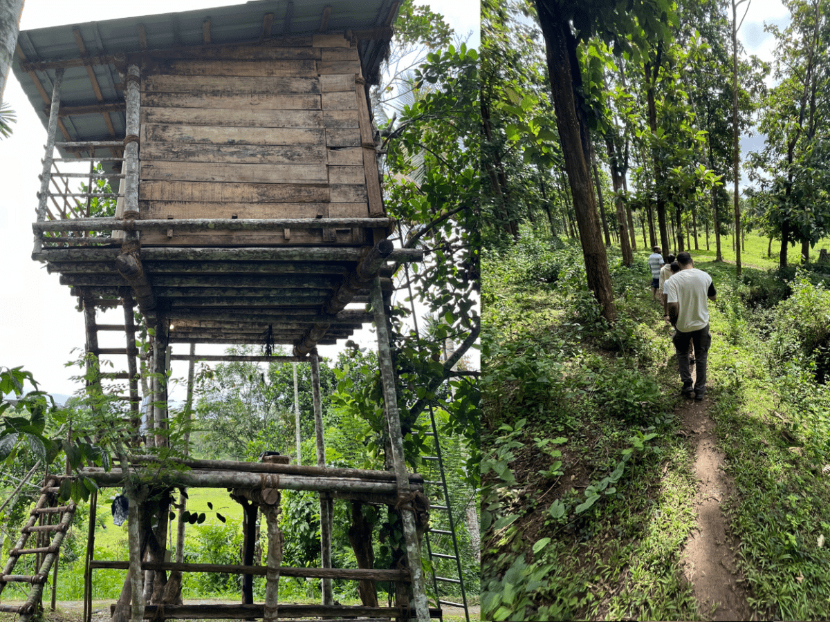 Live Like an Indian Tribe: Authentic 2-Day Cultural Experience in Wayanad, Kerala