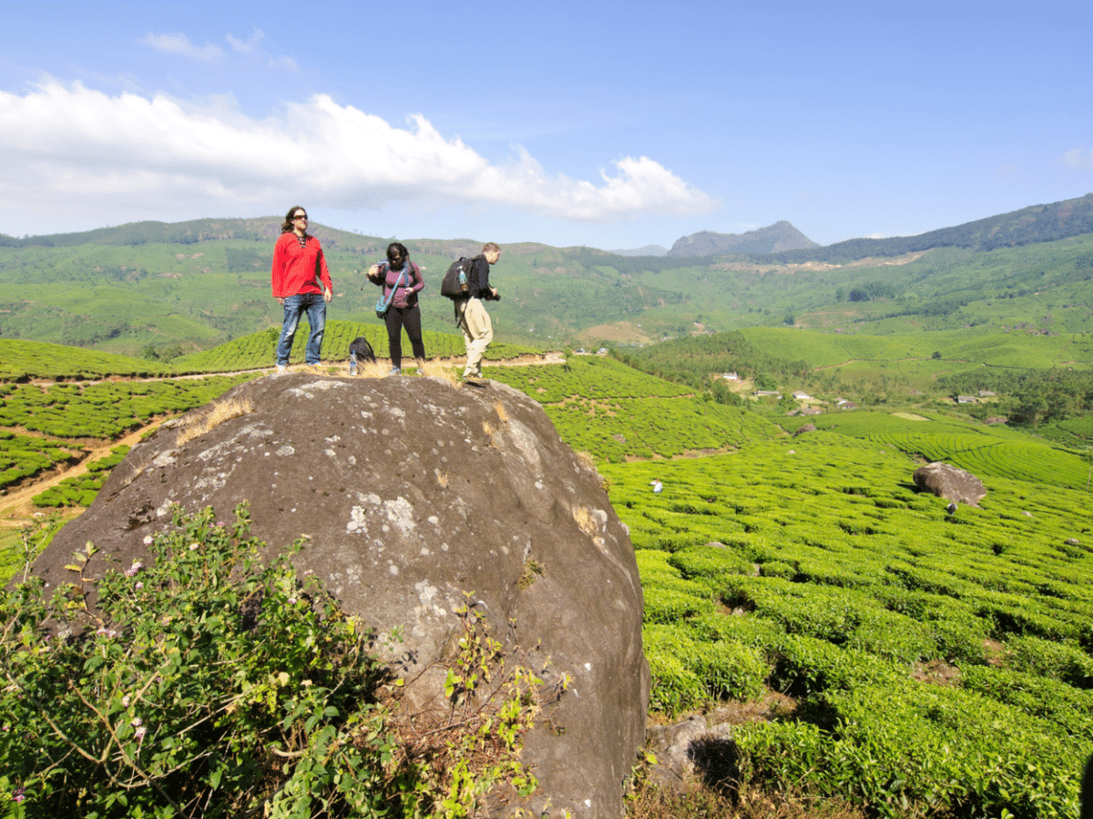 Discover Munnar's Essence: Farm-to-Table & Tribal Village Experience