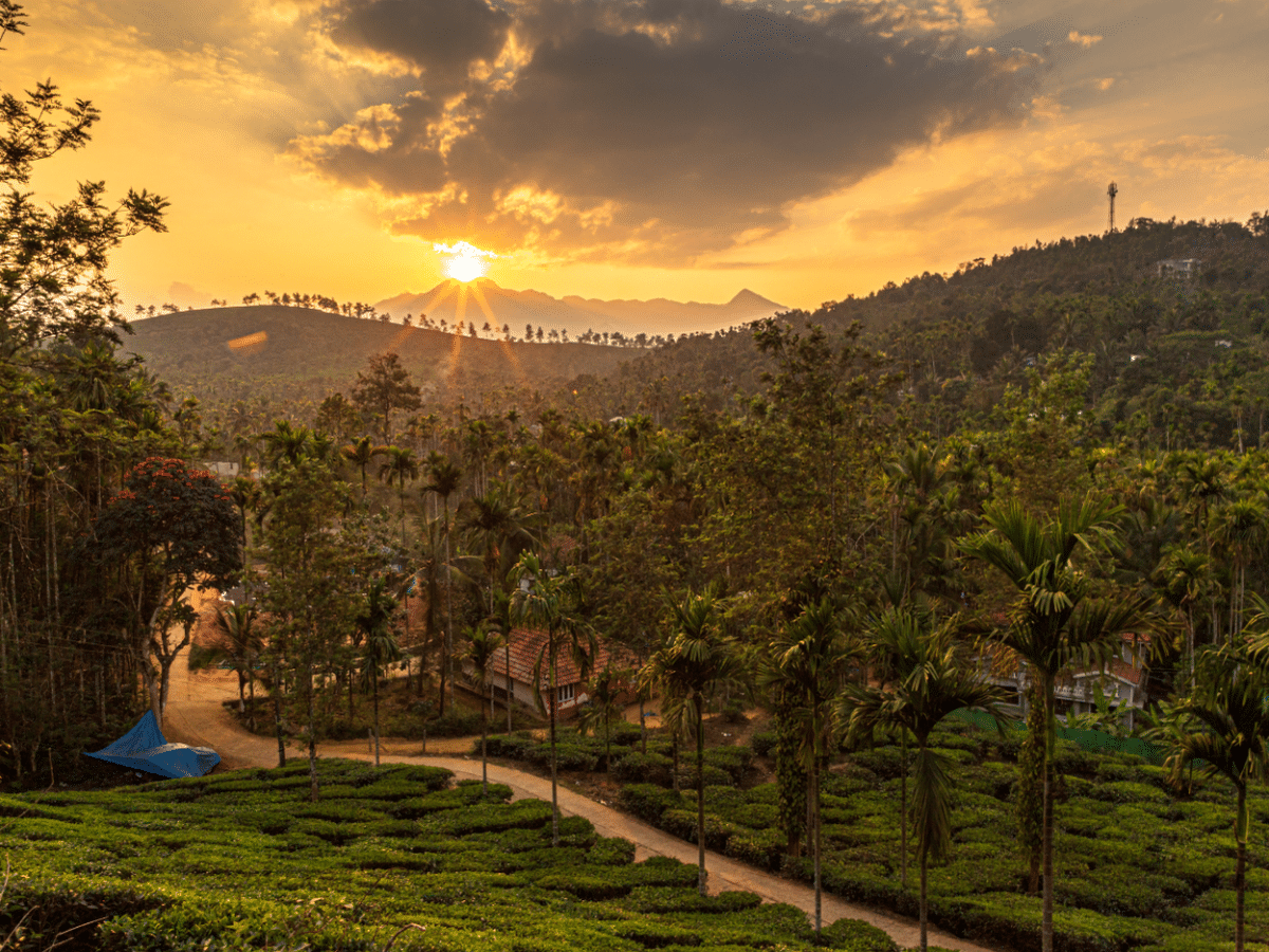 Live Like an Indian Tribe: Authentic 2-Day Cultural Experience in Wayanad, Kerala