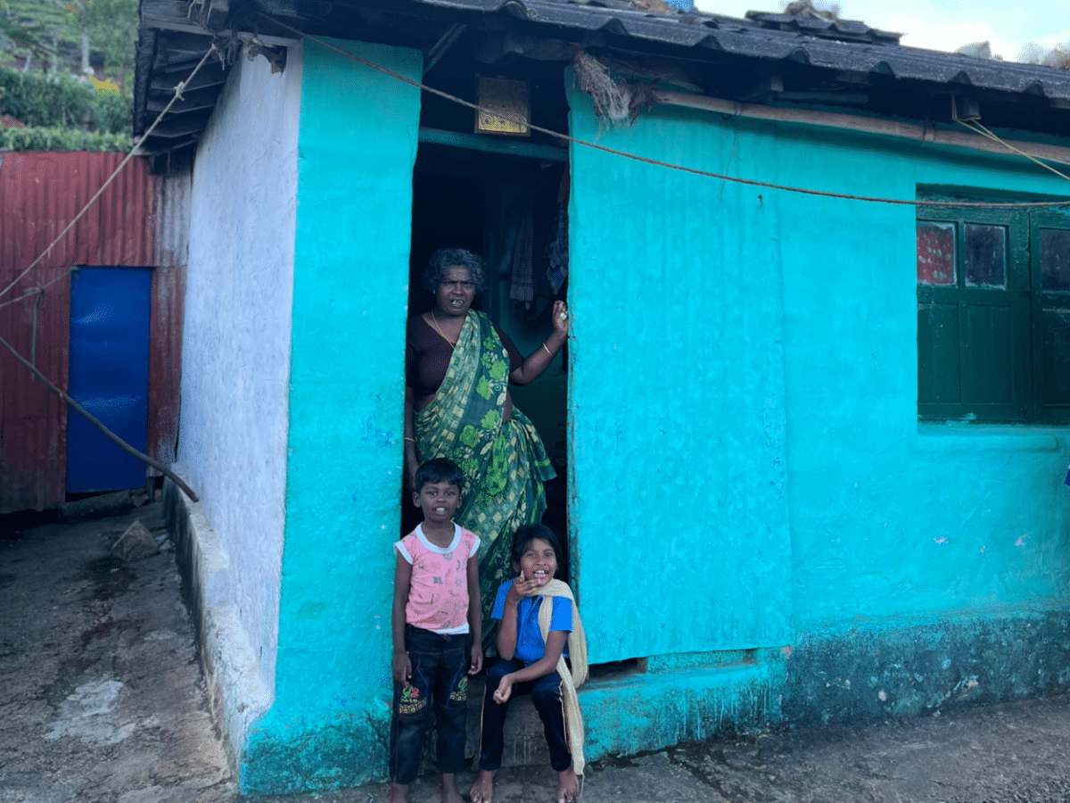 Discover Munnar's Essence: Farm-to-Table & Tribal Village Experience