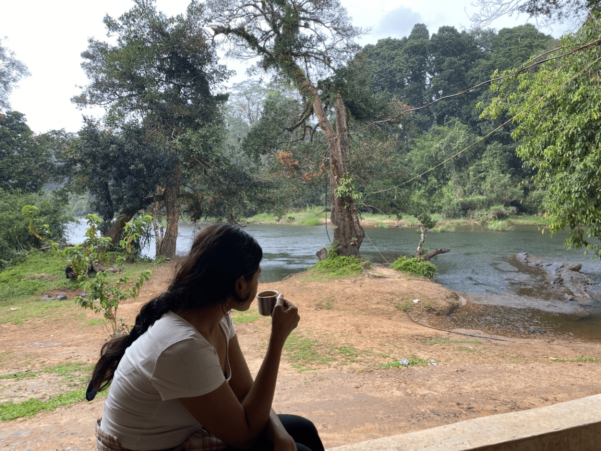 Escape to India's Nature: 2-Day Immersive Retreat in Coorg