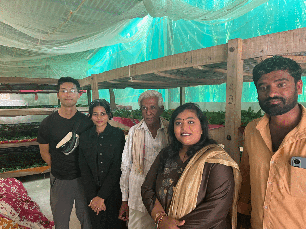 A Day in Kokarebellur: Explore Betel Farms, Silk and Bird Culture