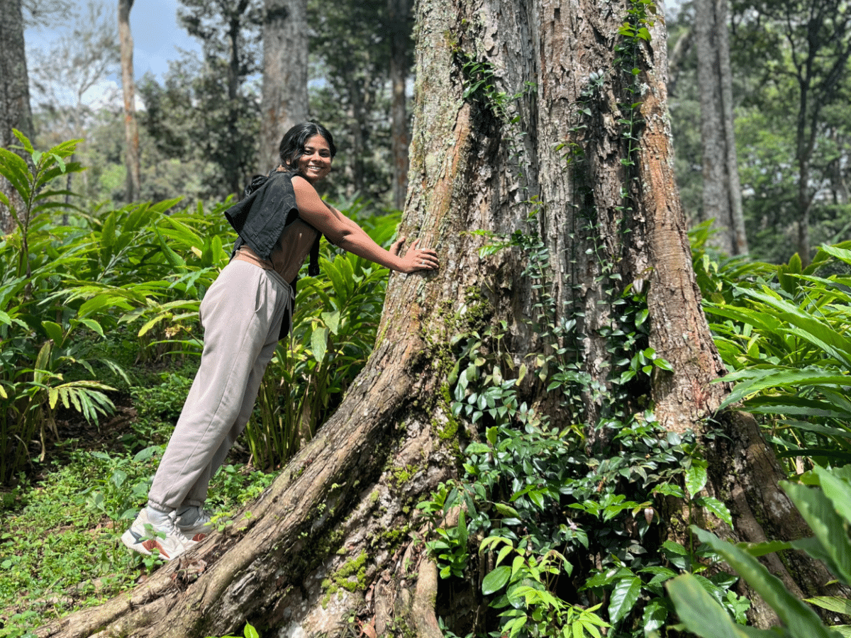 Discover Munnar's Essence: Farm-to-Table & Tribal Village Experience