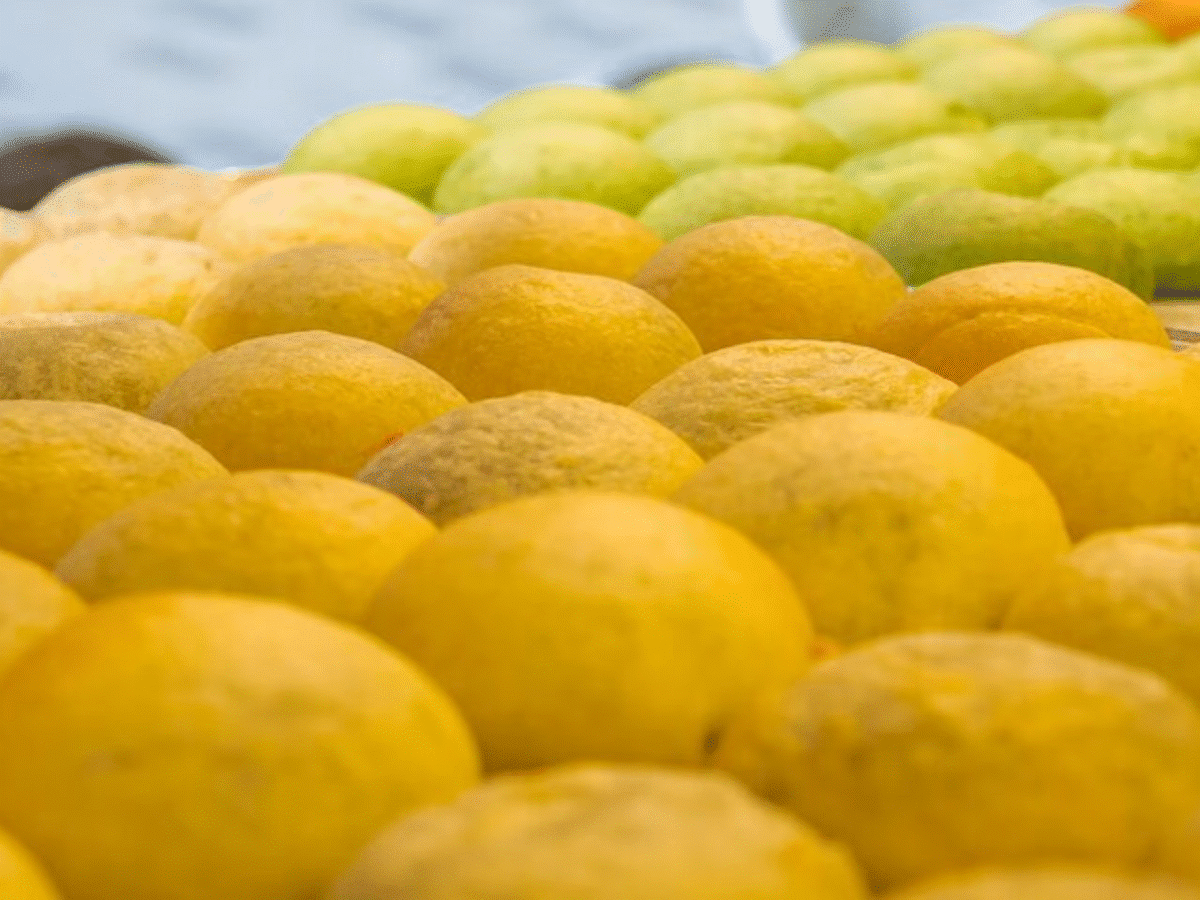 Europe to Asia Food Adventure