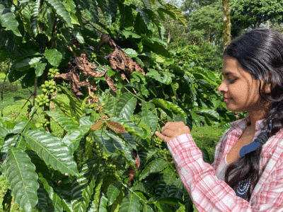 Escape to India's Nature: 2-Day Immersive Retreat in Coorg