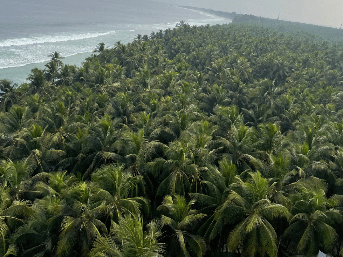 Live Like an Indian Islander: 5-Day Immersion on India’s Islands