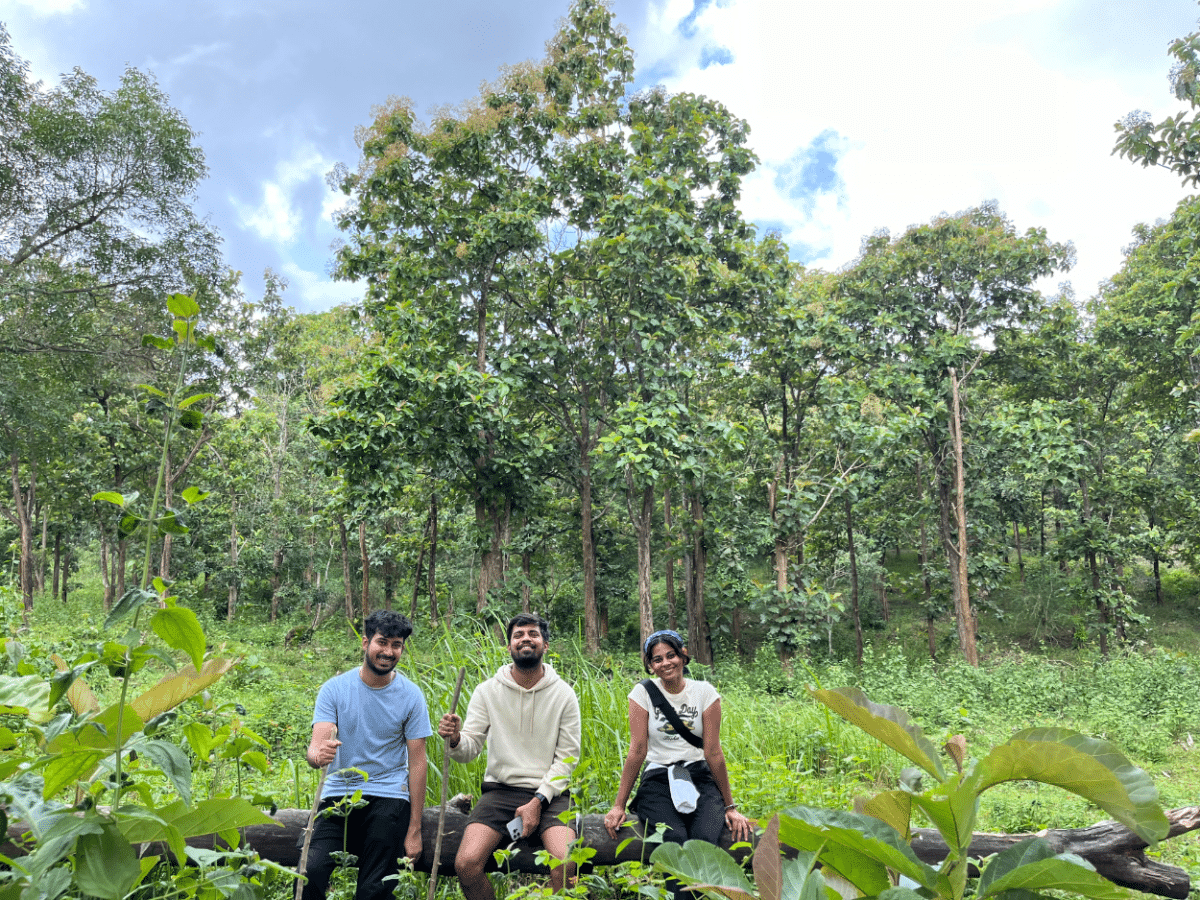 Live Like an Indian Tribe: Authentic 2-Day Cultural Experience in Wayanad, Kerala