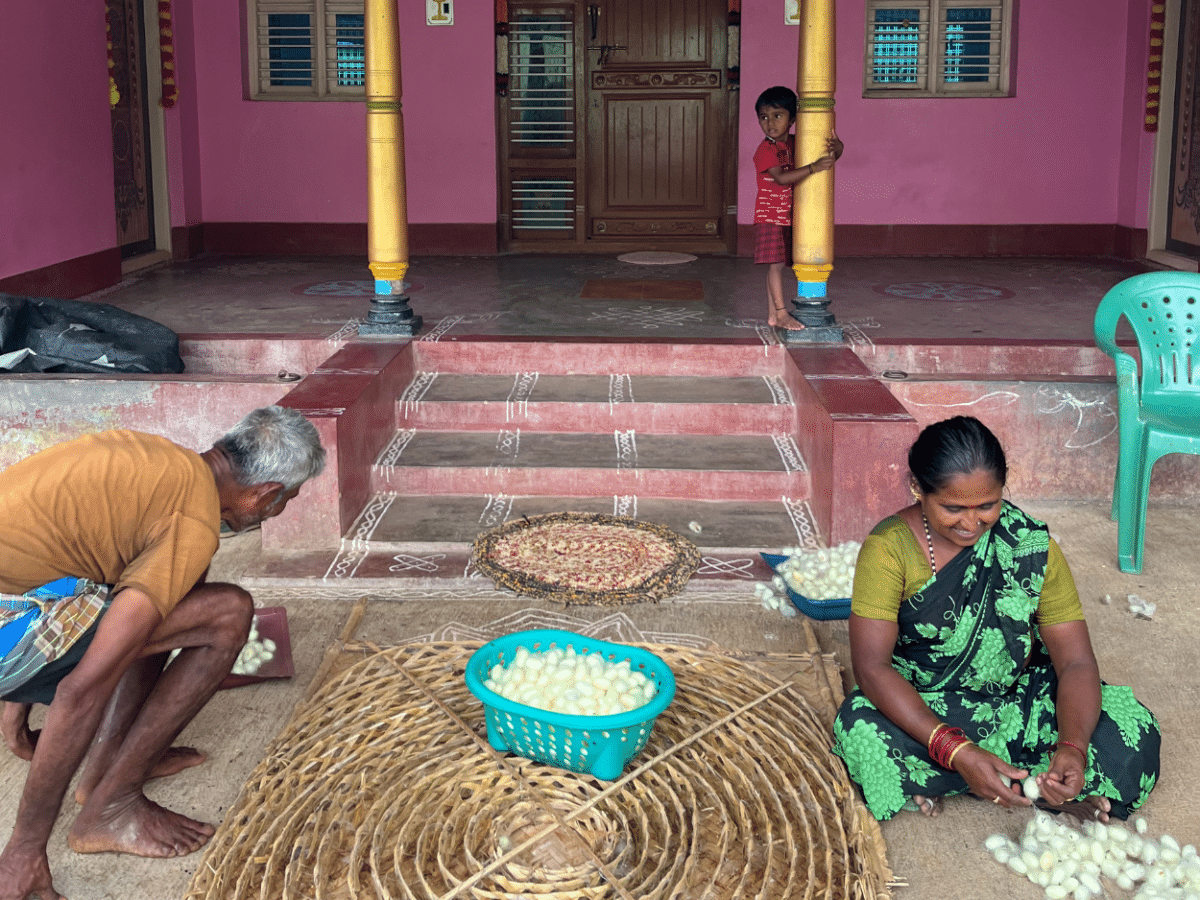 A Day in Kokarebellur: Explore Betel Farms, Silk and Bird Culture