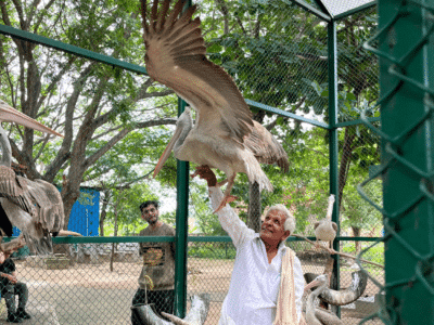 A Day in Kokarebellur: Explore Betel Farms, Silk and Bird Culture