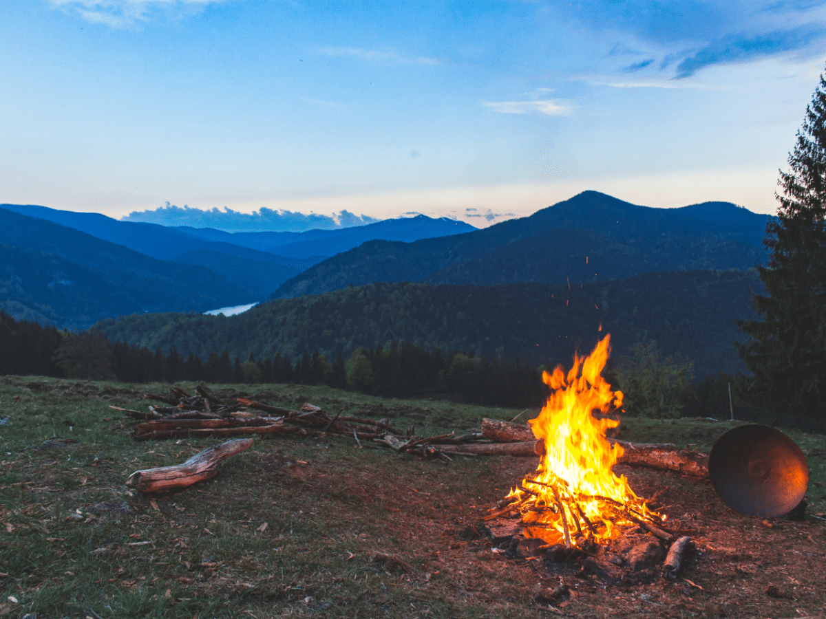 Discover Munnar's Essence: Farm-to-Table & Tribal Village Experience