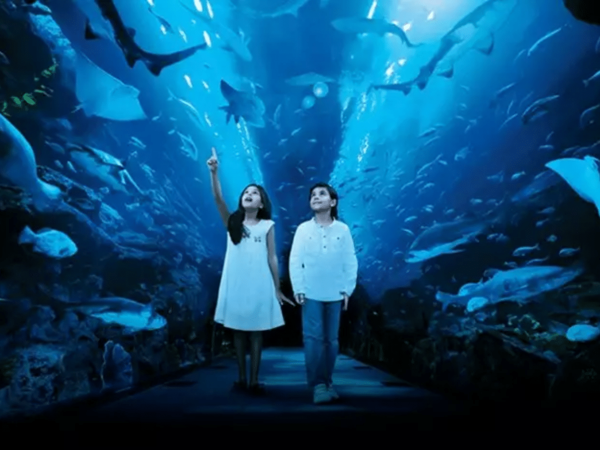 Viasea Aquarium & Crocodile Park Tickets