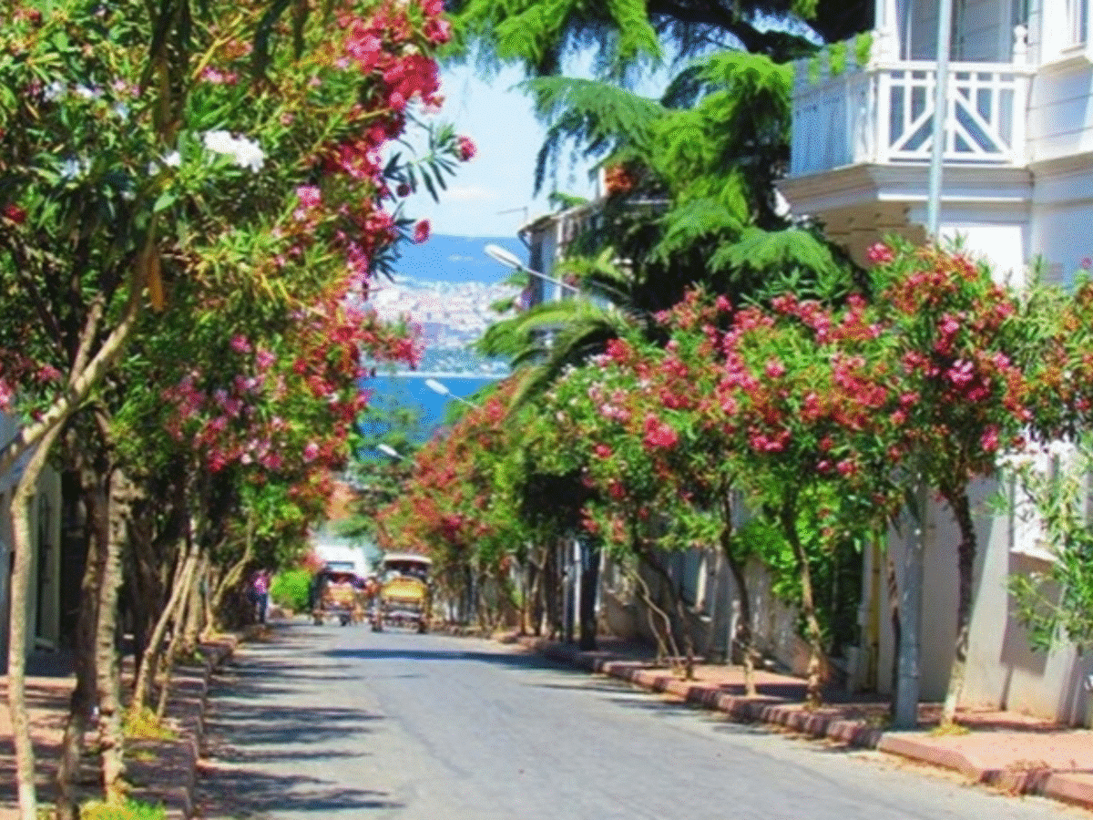 Princes' Islands Cycling Tour