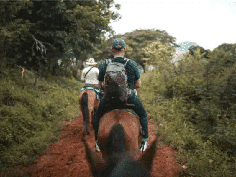 Horse Riding Through the Nature