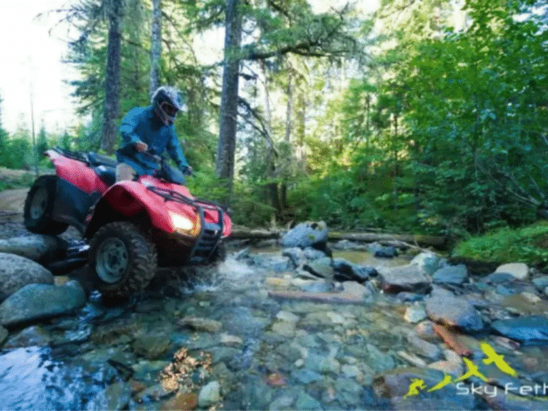 Off-Road ATV Safari in the Nature
