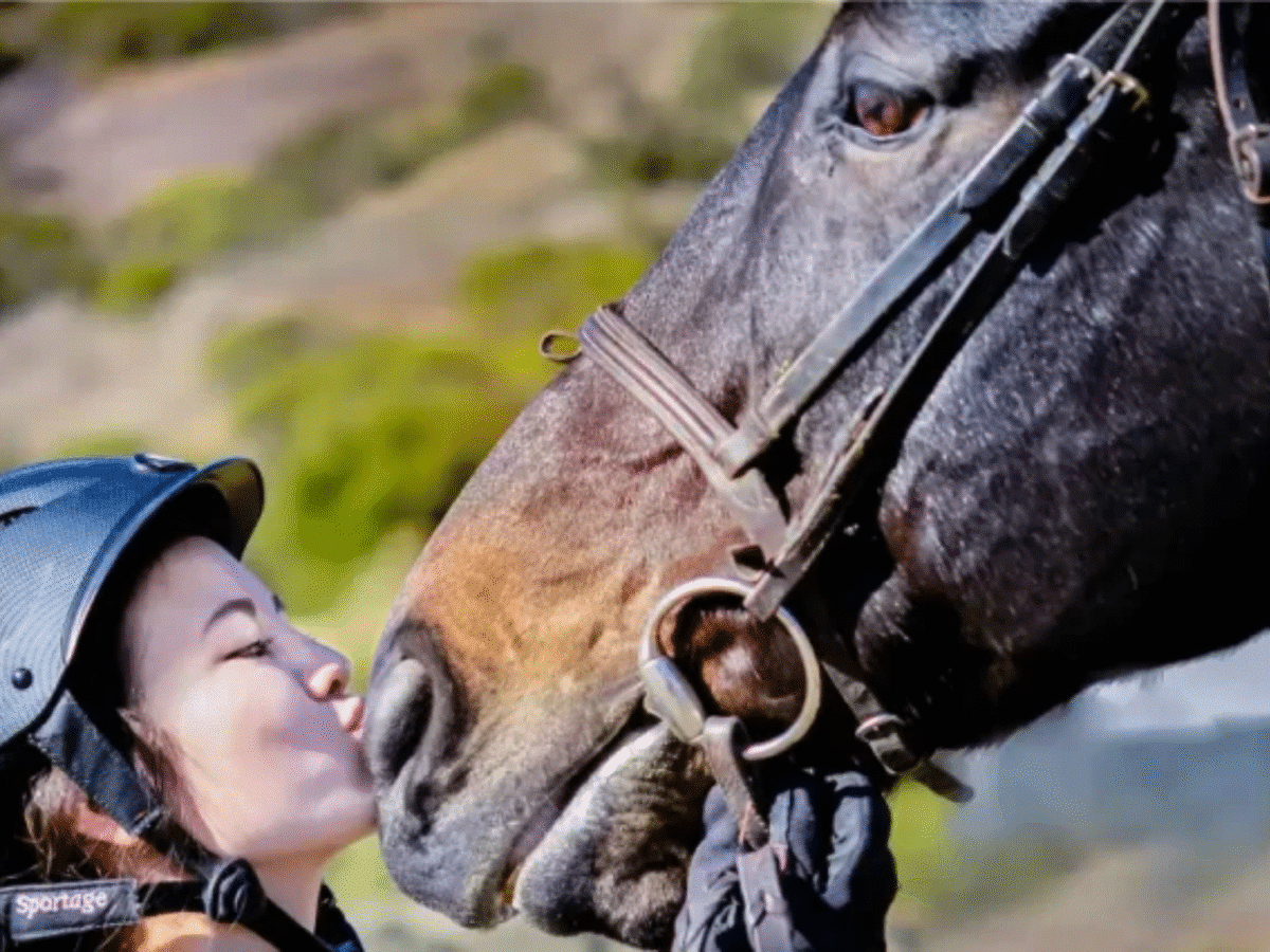 Horse Riding Through the Nature