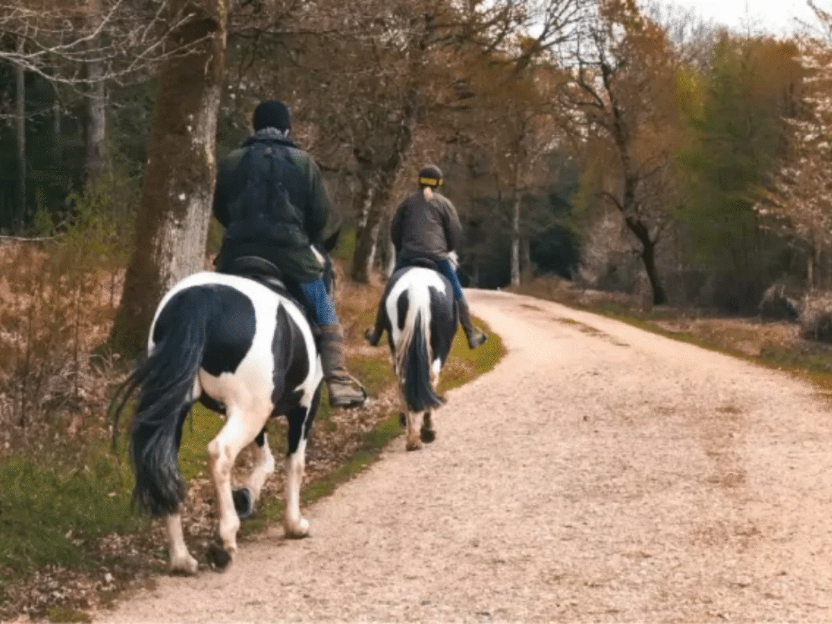 Horse Riding Through the Nature