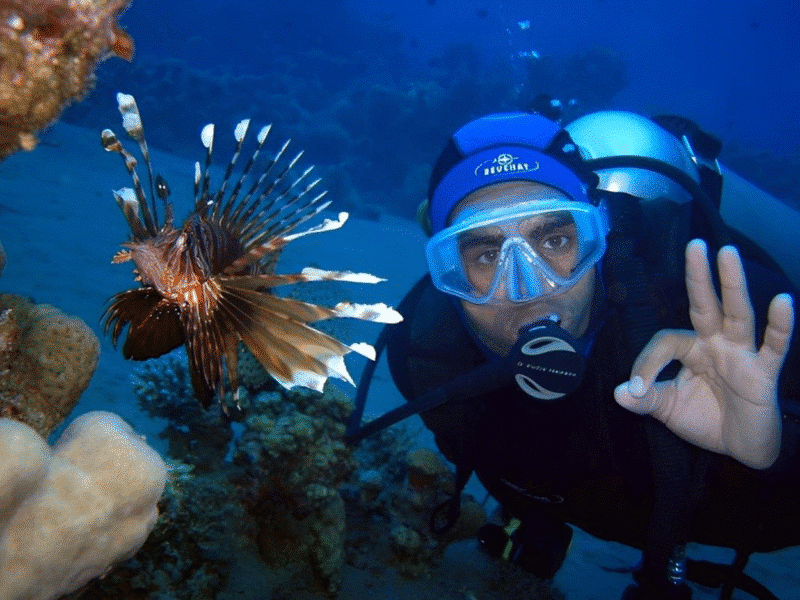 Dive into Adventure: Scuba Experience with Two Dives & Transfers