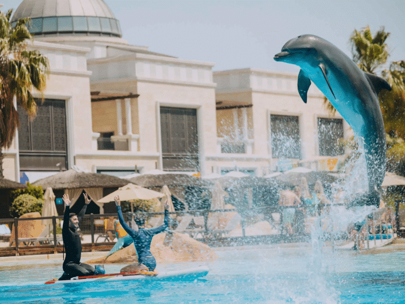 Dance, Hug & Smile: Dolphin Meet & Greet at The Land of Legends