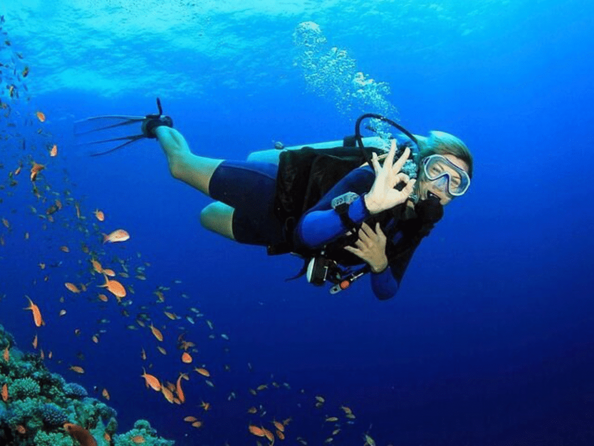 Dive into the Depths: Scuba Adventure