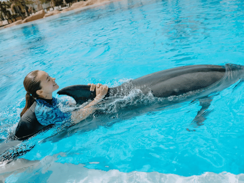 Swim with Dolphins at Land of Legends: A Magical Marine Adventure