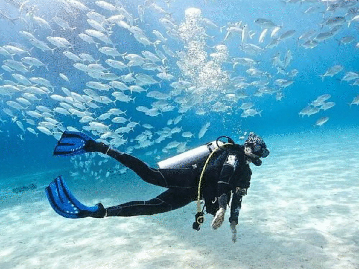 Dive into the Depths: Scuba Adventure