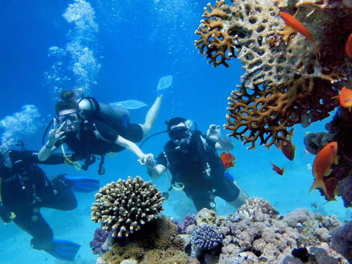 Dive into Adventure: Scuba Experience with Two Dives & Transfers