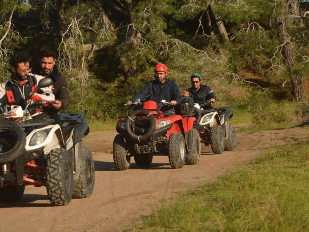 Ride the Wild Trails: Buggy Safari Adventure