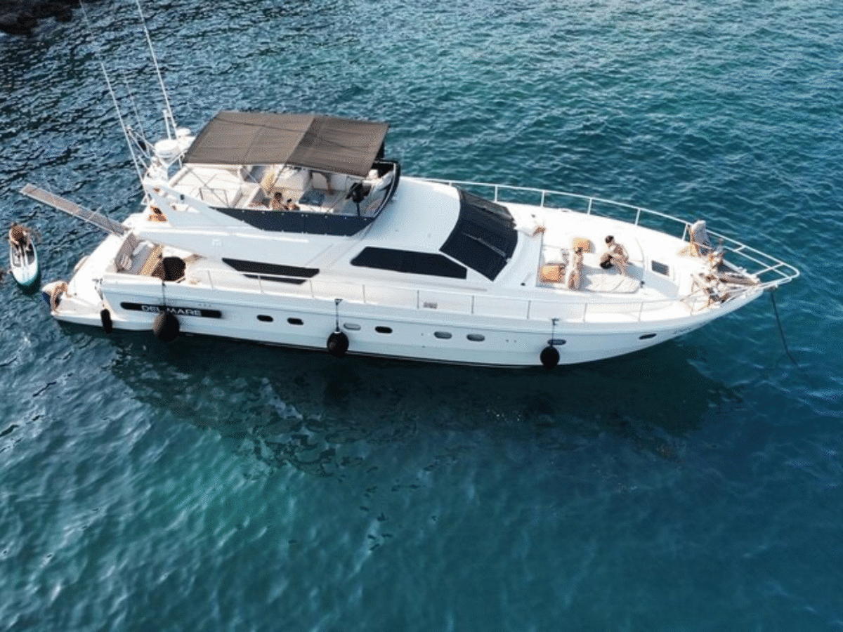 Luxury Yacht Escape: Morning & Sunset Cruises