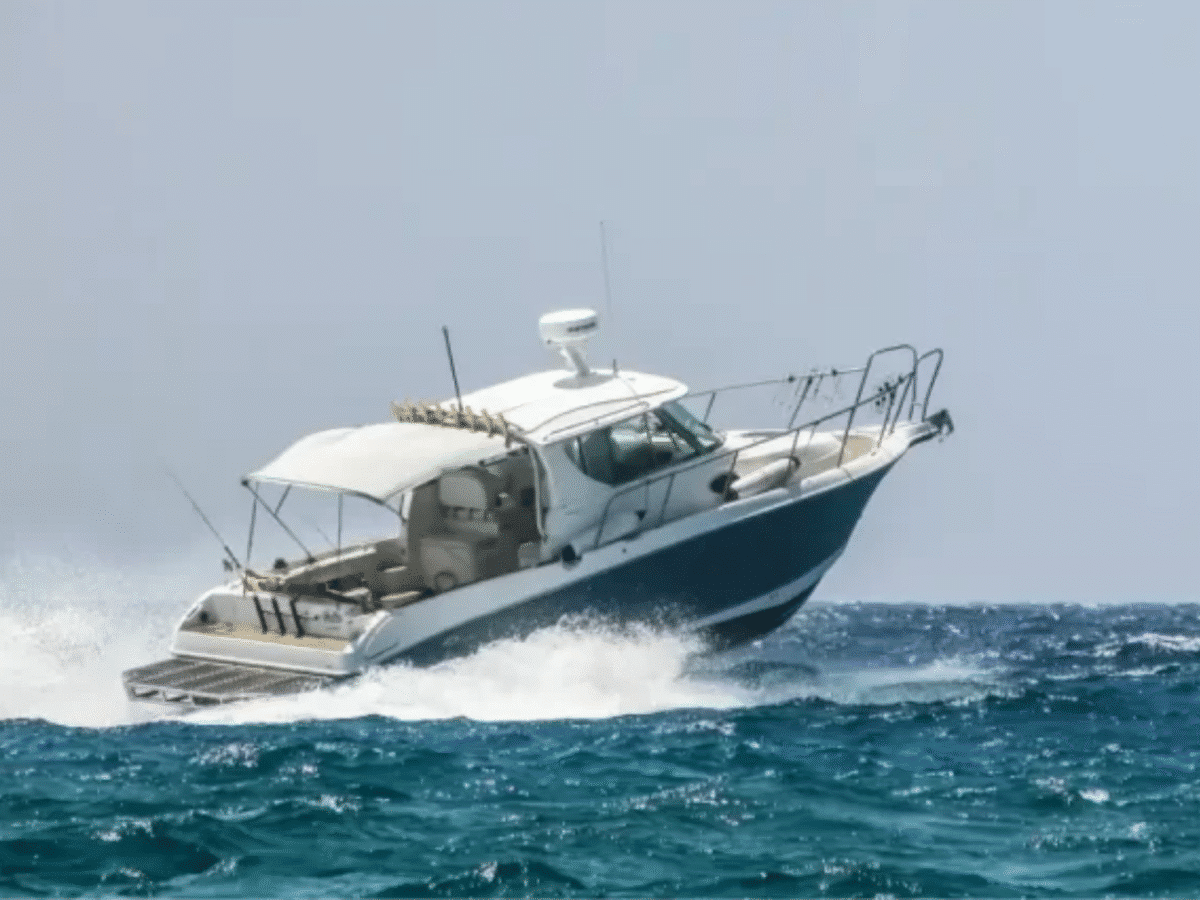 Cruise the Turquoise Waters on a Private Speed Boat