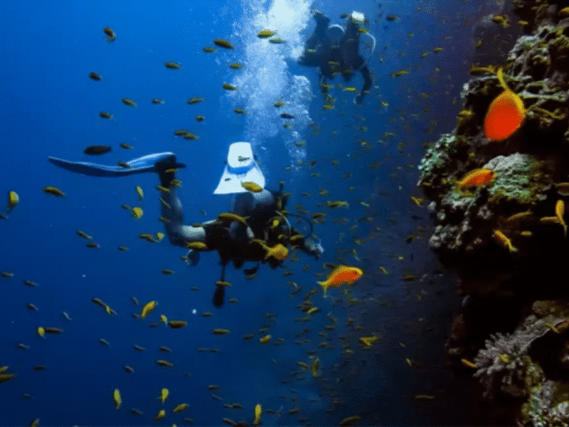 Dive into the Depths: Scuba Adventure