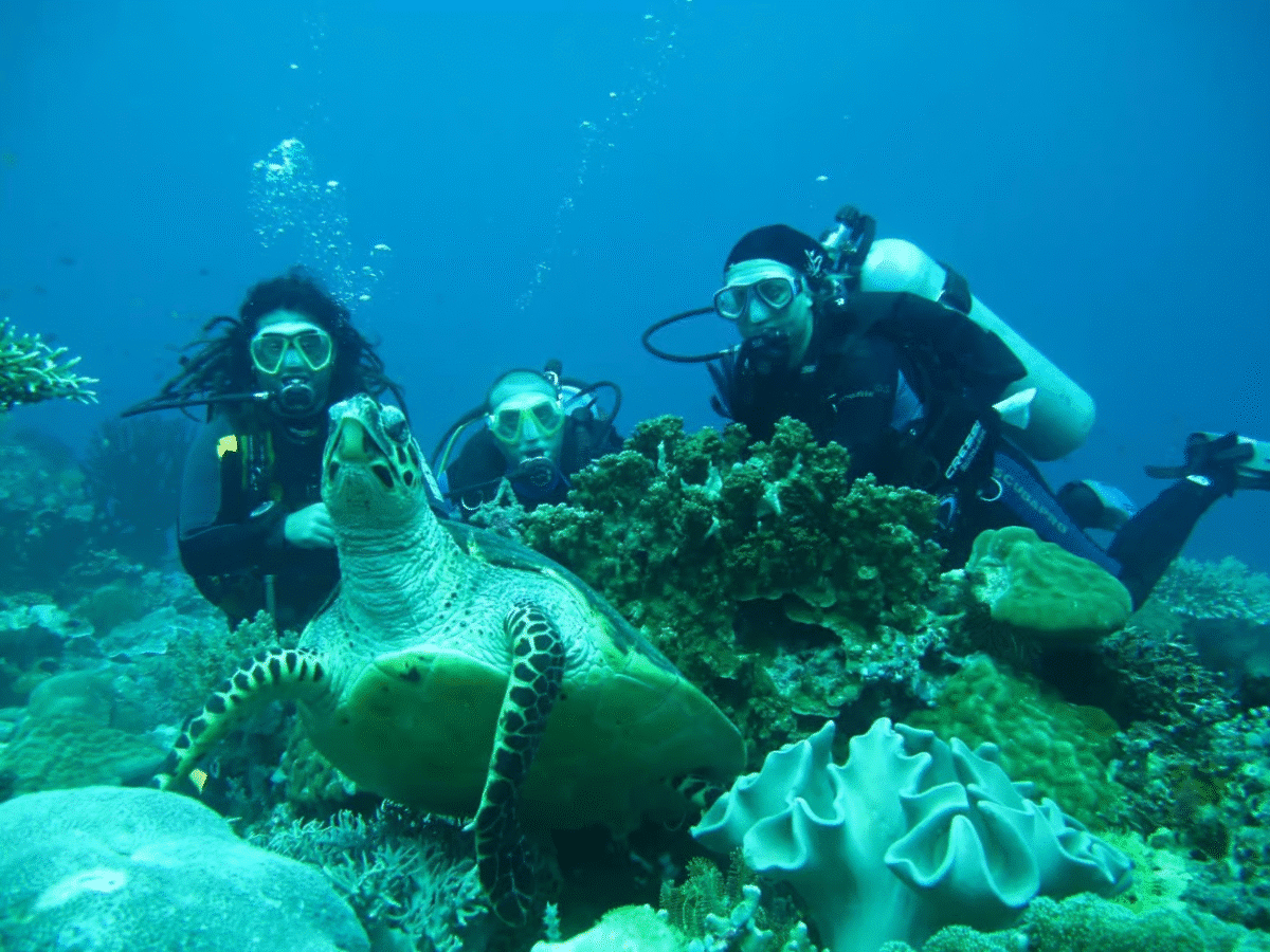 Dive into Adventure: Scuba Experience with Two Dives & Transfers