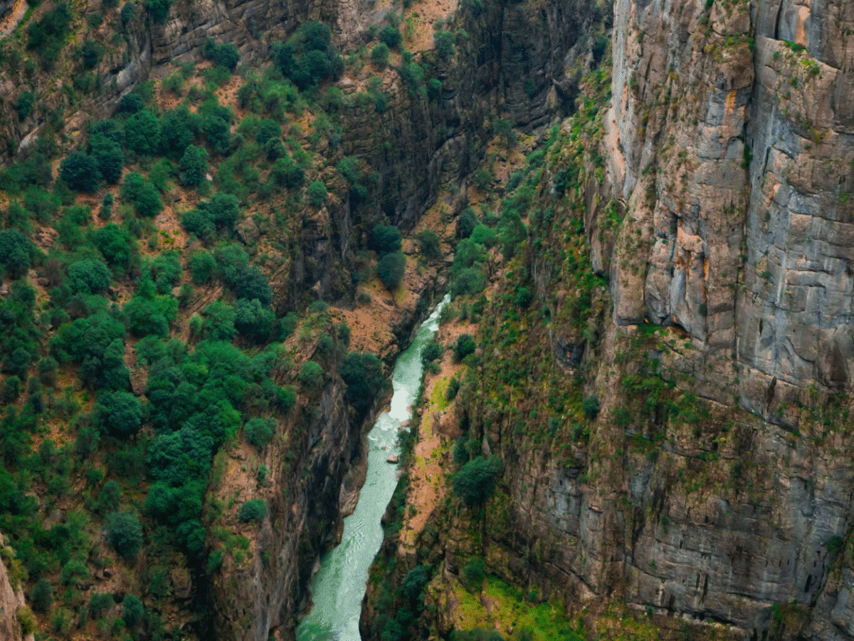 Triple Thrill: Rafting, Buggy Safari & Zipline Adventure