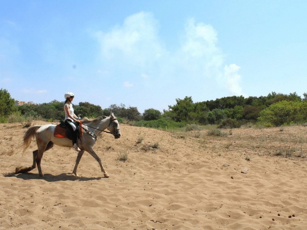 Ride into Paradise: Horseback Adventure on Golden Sands
