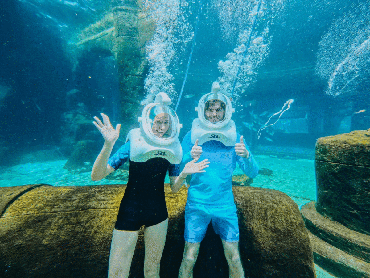 Mythical Journey: Walk Among Sharks & Tropical Fish