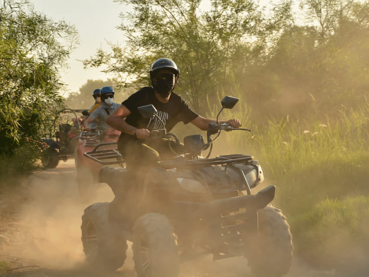 Ride the Wild Trails: Buggy Safari Adventure