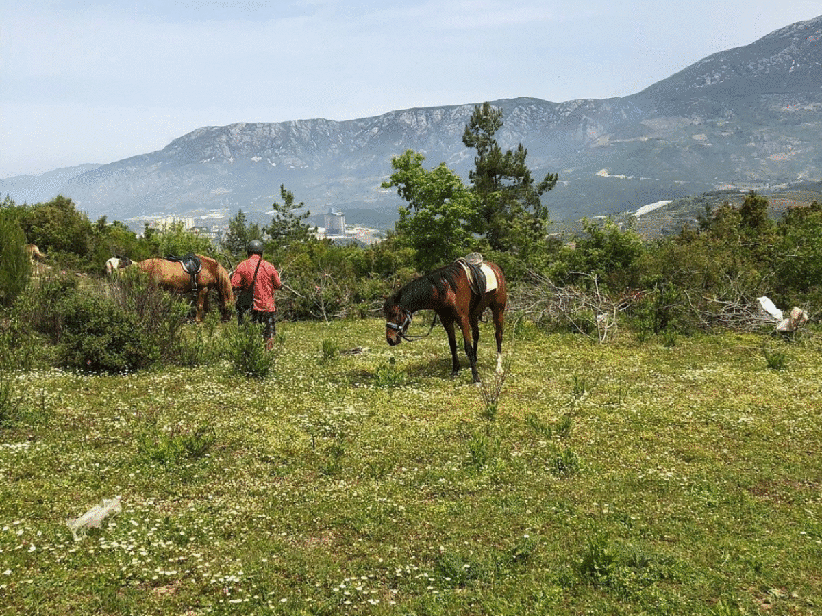 Ride into Paradise: Horseback Adventure on Golden Sands