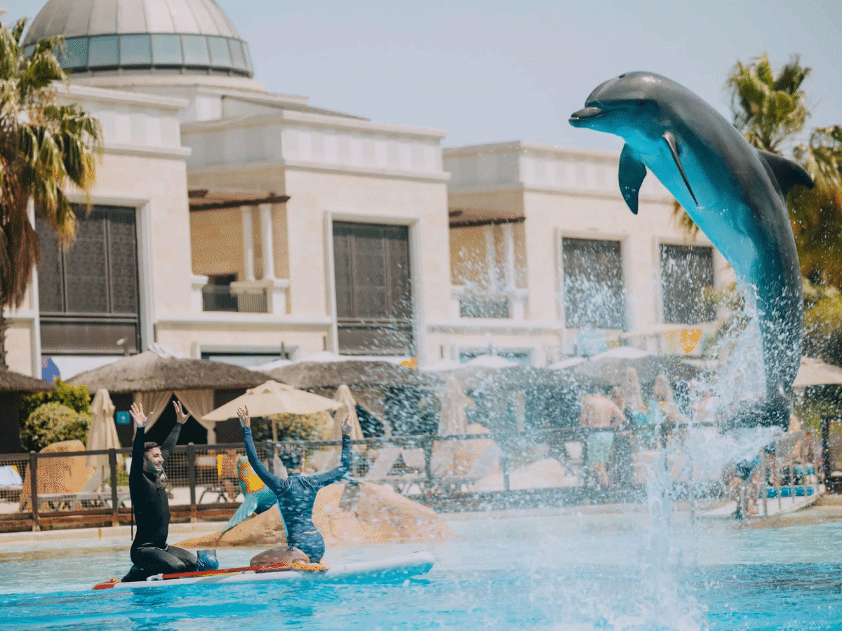 Swim with Dolphins at Land of Legends: A Magical Marine Adventure
