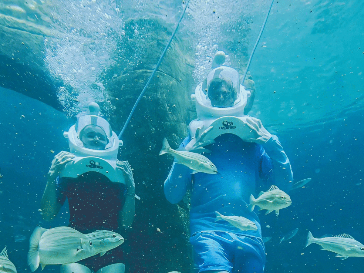 Swim with Dolphins at Land of Legends: A Magical Marine Adventure