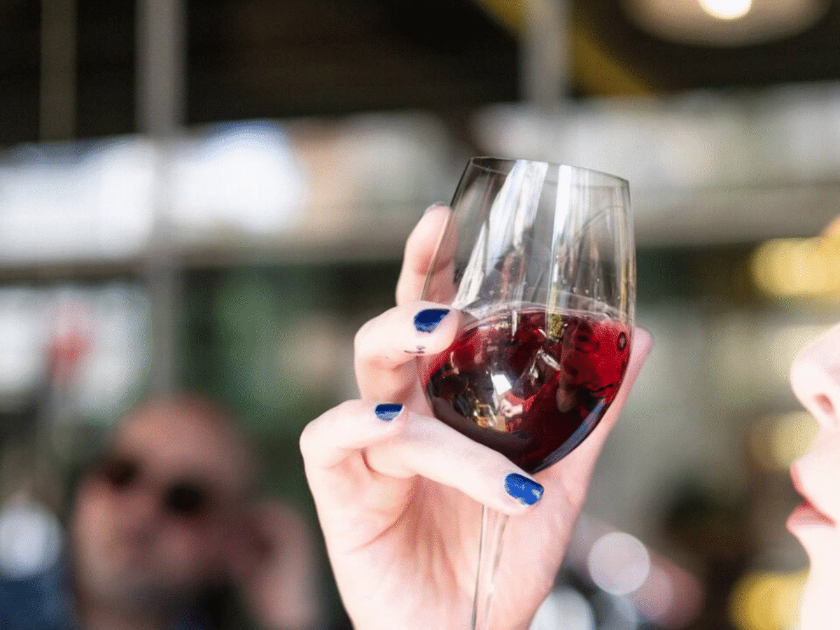 Wines of Anatolia: Turkish Tasting Journey