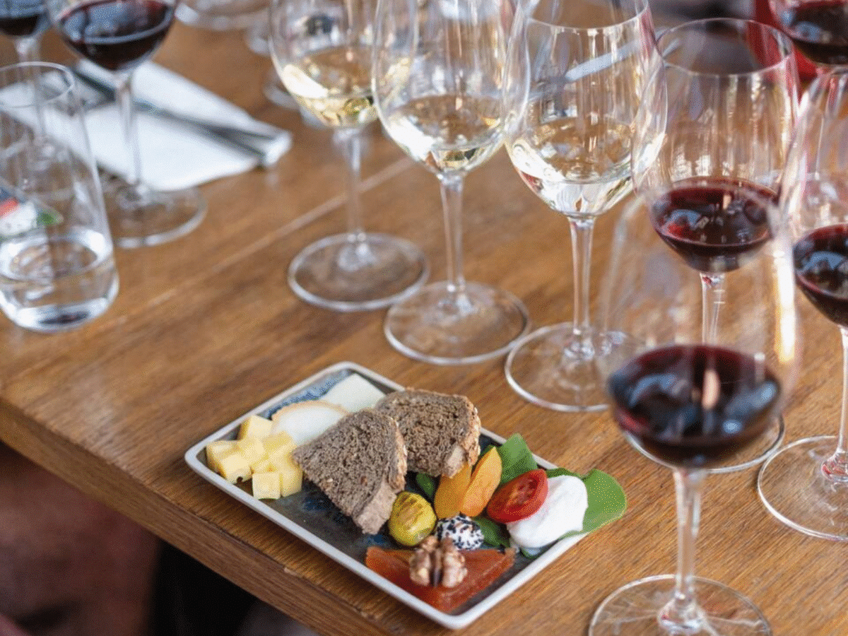 Wines of Anatolia: Turkish Tasting Journey
