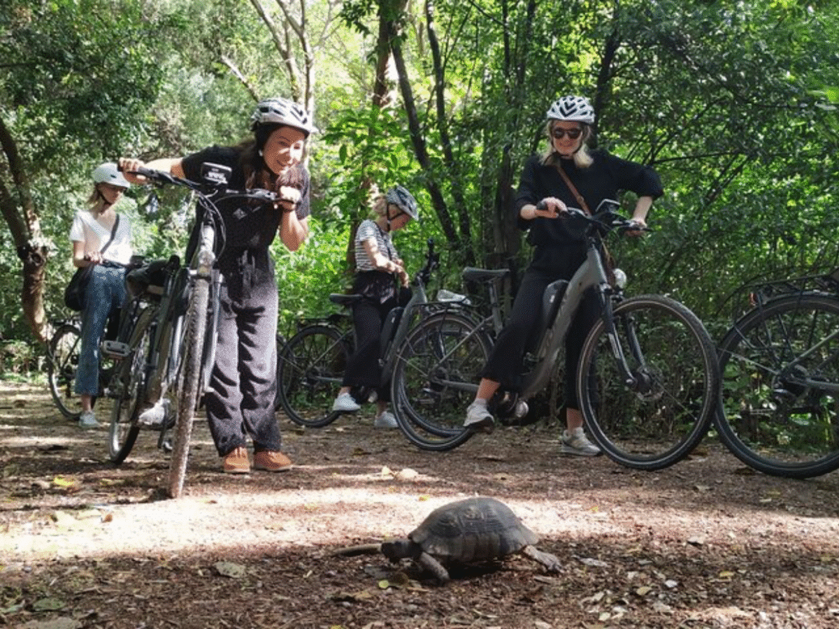 Ride Athens: Scenic E-Bike Tour