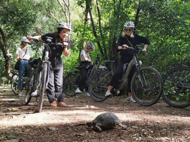 Ride Athens: Scenic E-Bike Tour