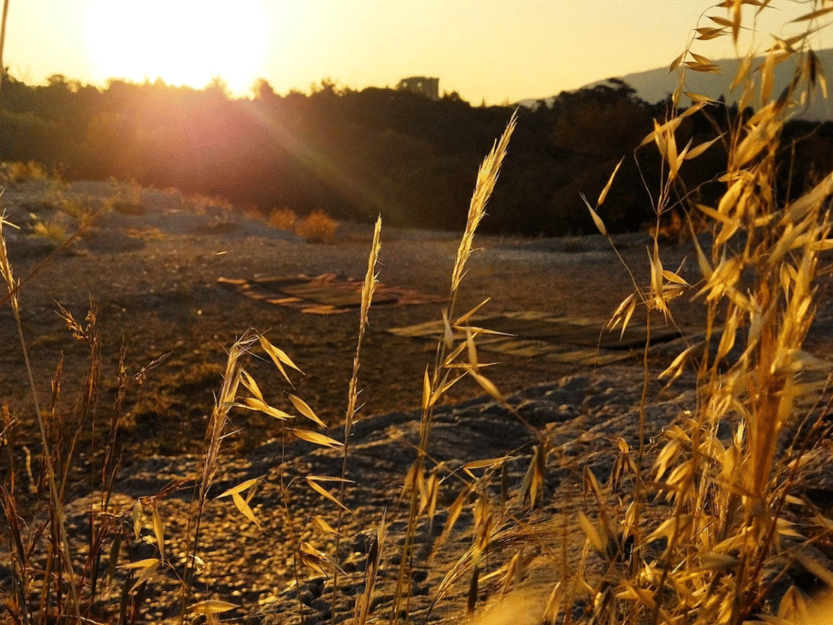 Sunrise Yoga & Meditation: Acropolis & 360° Views