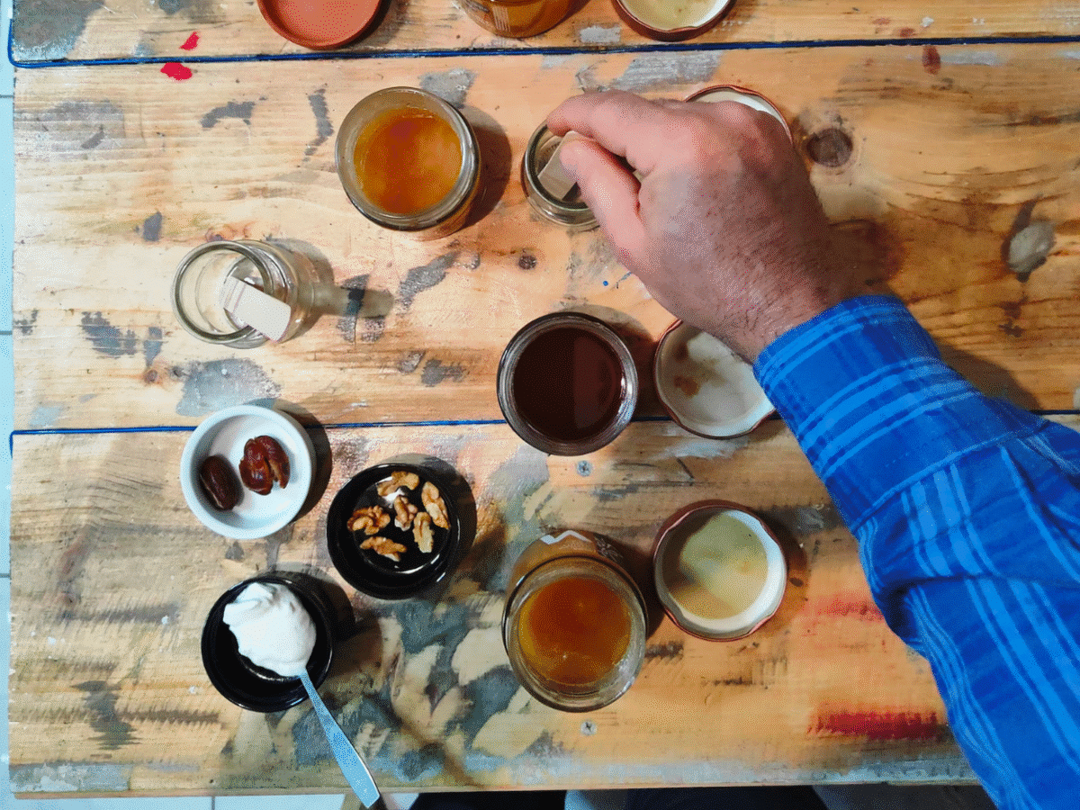 Greek Olive Oil Tasting Experience