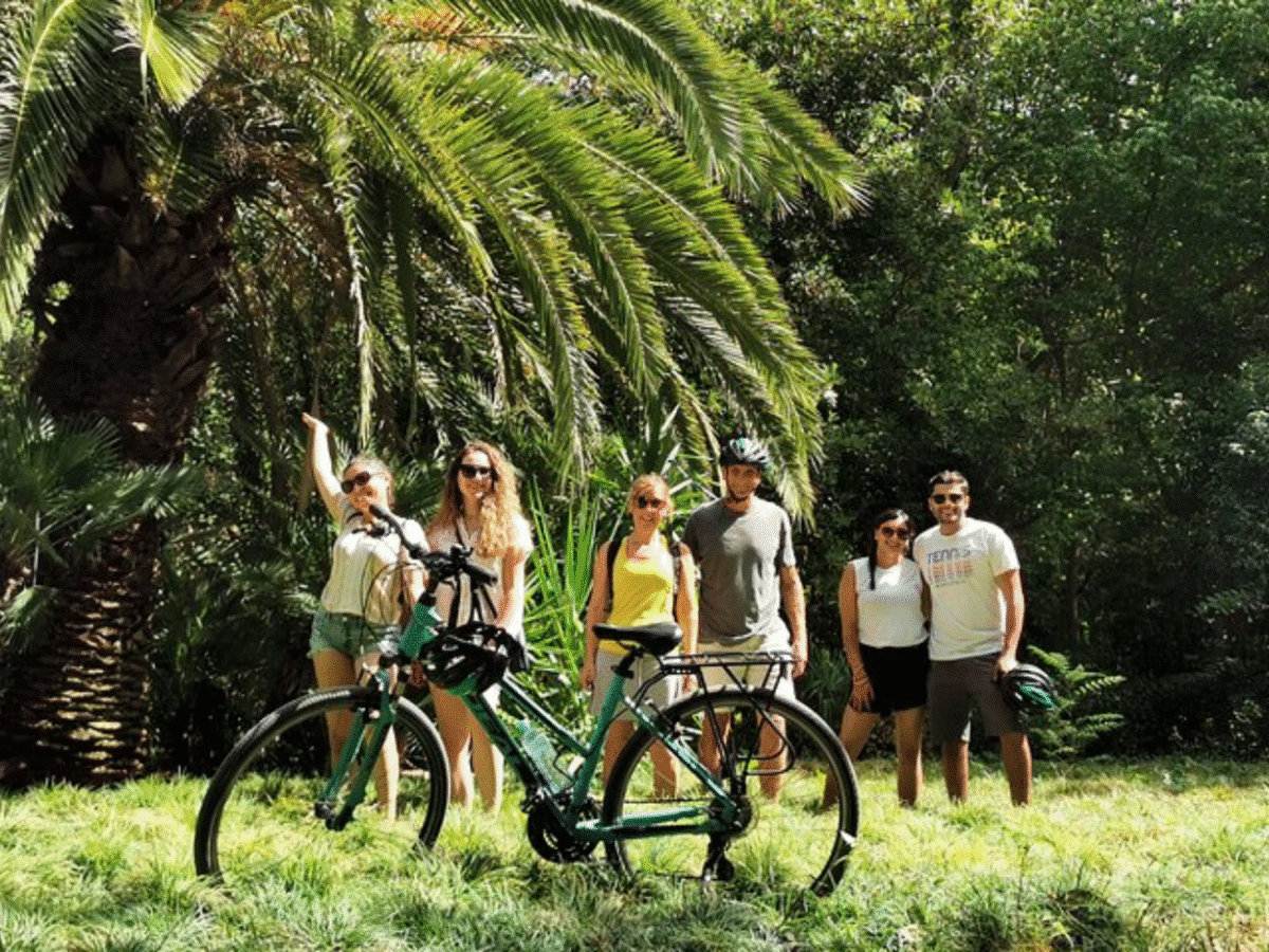 Athens Scenic Bike Tour