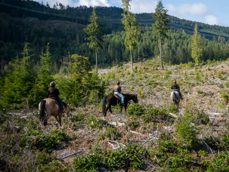 Trail Ride Experience