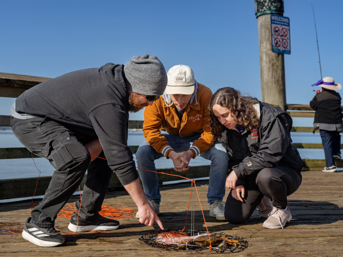 West Coast Crab Fishing