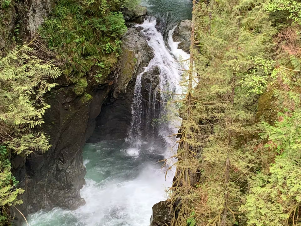 Hike the Vancouver Rainforest With Waterfalls
